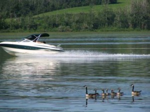 Ahh, summer on the lake