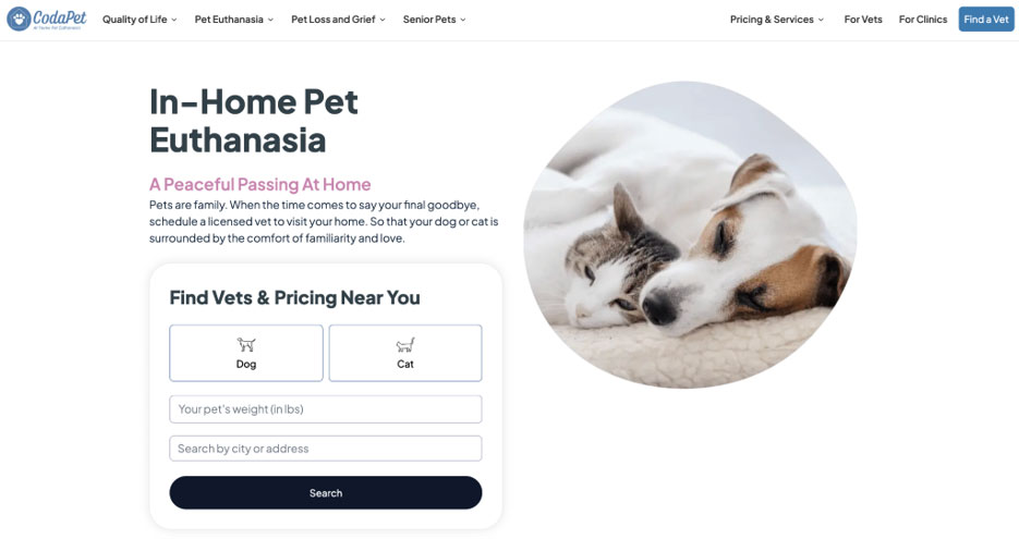 How CodaPet builds brand trust through transparency