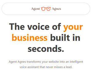 Agnes sounds natural, understands your business, and responds with care.